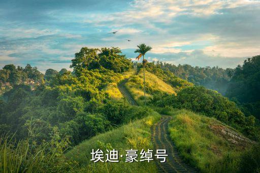 埃迪·豪綽號(hào)