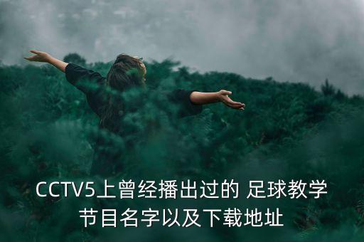 CCTV5上曾經(jīng)播出過的 足球教學(xué)節(jié)目名字以及下載地址