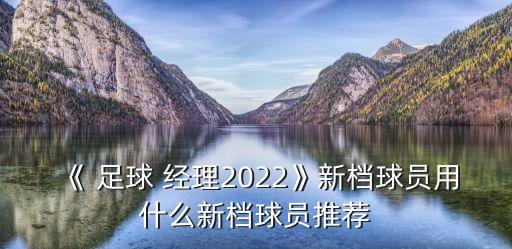 足球經(jīng)理14修改門(mén)將,fm足球經(jīng)理2021門(mén)將推薦