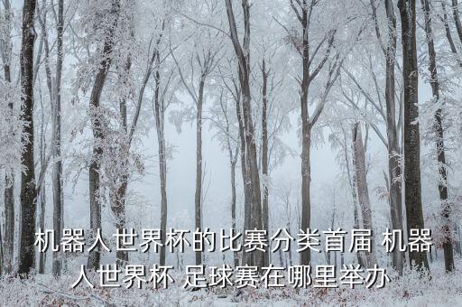 身高吧專業(yè)機器足球