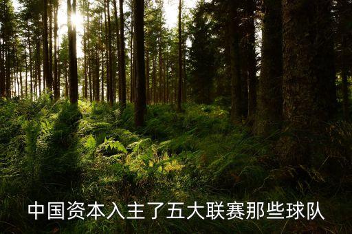 中國(guó)資本入主了五大聯(lián)賽那些球隊(duì)