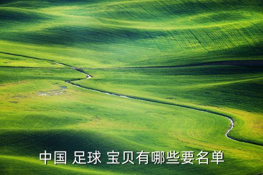 中國 足球 寶貝有哪些要名單