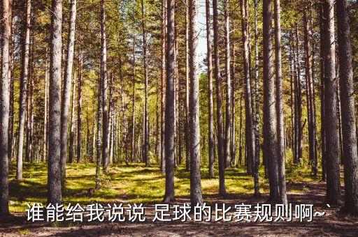 大?M 足球,足球大2\/2.5