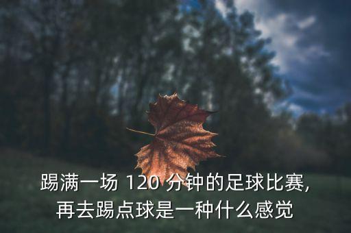 足球賽 120分鐘,一場(chǎng)足球賽多少分鐘結(jié)束