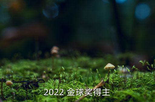 足球金球獎主持人,2022年足球金球獎