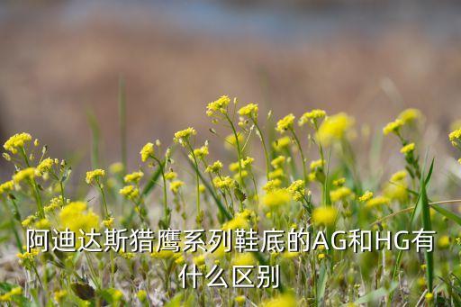 足球鞋hg ag之爭(zhēng),阿迪達(dá)斯足球鞋hg和ag的區(qū)別