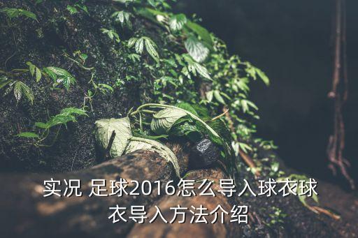  實(shí)況 足球2016怎么導(dǎo)入球衣球衣導(dǎo)入方法介紹