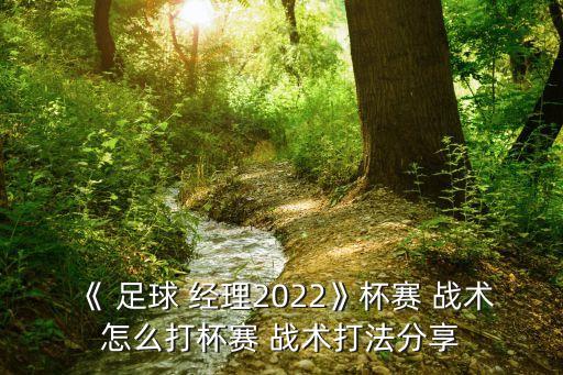 《 足球 經(jīng)理2022》杯賽 戰(zhàn)術(shù)怎么打杯賽 戰(zhàn)術(shù)打法分享
