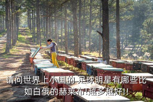 請(qǐng)問世界上小國(guó)的 足球明星有哪些比如白俄的赫萊布!越多越好!!