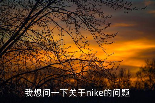 我想問(wèn)一下關(guān)于nike的問(wèn)題