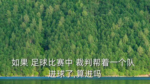 如果 足球比賽中 裁判幫著一個(gè)隊(duì) 進(jìn)球了,算進(jìn)嗎