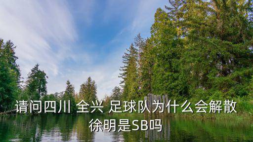 請(qǐng)問四川 全興 足球隊(duì)為什么會(huì)解散徐明是SB嗎