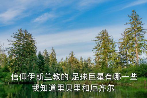  信仰伊斯蘭教的 足球巨星有哪一些我知道里貝里和厄齊爾