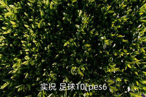  實(shí)況 足球10(pes6