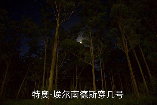 特奧·埃爾南德斯穿幾號