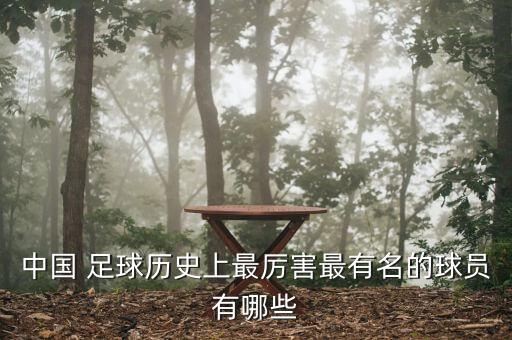 中國 足球歷史上最厲害最有名的球員有哪些