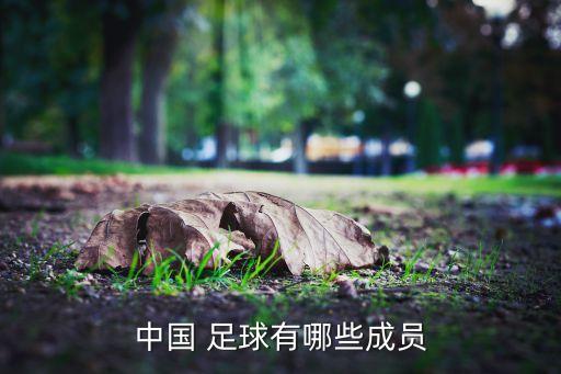 中國(guó) 足球有哪些成員
