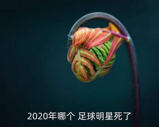 2020年哪個(gè) 足球明星死了