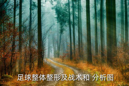  足球整體整形及戰(zhàn)術(shù)和 分析圖