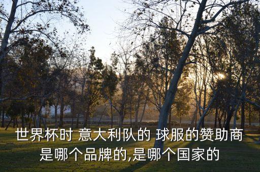 世界杯時 意大利隊的 球服的贊助商是哪個品牌的,是哪個國家的