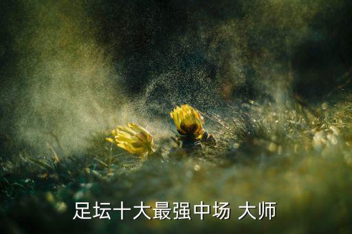 足壇十大最強中場 大師