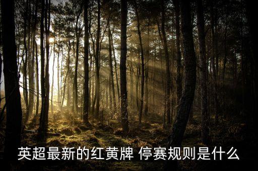 足球紅牌停賽幾場,足球黃牌紅牌規(guī)則停賽多久