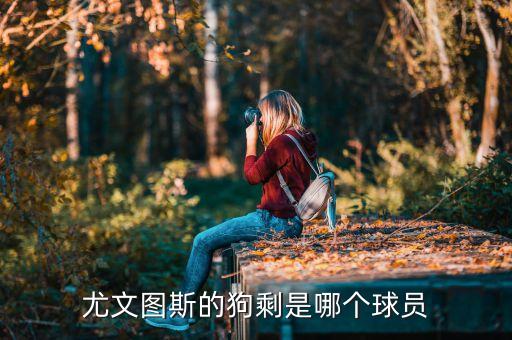 尤文圖斯的狗剩是哪個球員