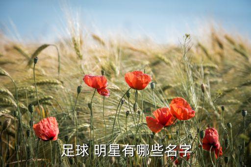  足球 明星有哪些名字