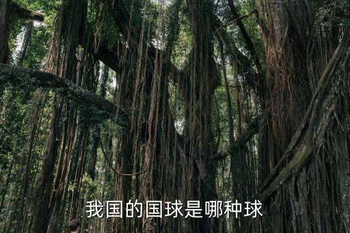 足球 雪茄,足球雪茄拼圖
