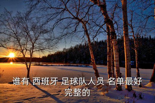 誰有 西班牙 足球隊(duì)人員 名單最好完整的
