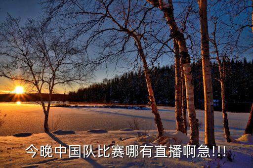 今晚中國(guó)隊(duì)比賽哪有直播啊急!!!