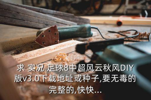 求 實(shí)況 足球8中超風(fēng)云秋風(fēng)DIY版v3.0下載地址或種子,要無毒的完整的,快快...