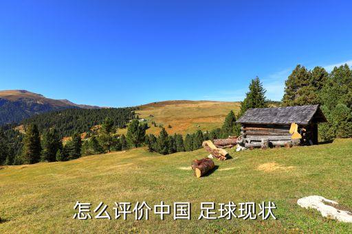 怎么評價中國 足球現(xiàn)狀