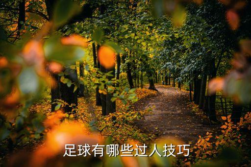  足球有哪些過人技巧