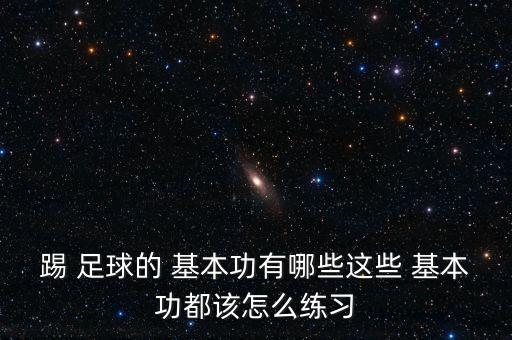 踢 足球的 基本功有哪些這些 基本功都該怎么練習