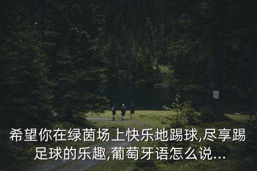 希望你在綠茵場上快樂地踢球,盡享踢 足球的樂趣,葡萄牙語怎么說...