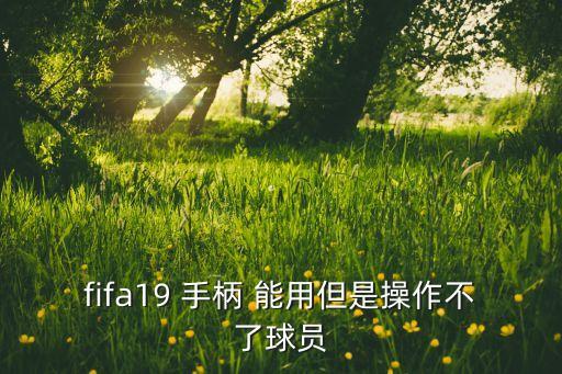 fifa19 手柄 能用但是操作不了球員