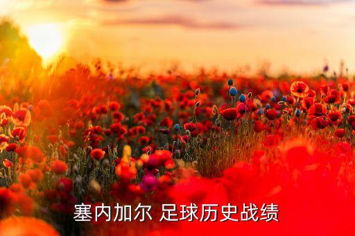 塞內(nèi)加爾 足球歷史戰(zhàn)績