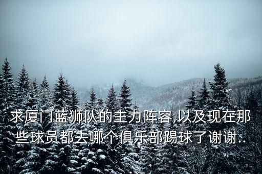 求廈門藍(lán)獅隊(duì)的主力陣容,以及現(xiàn)在那些球員都去哪個(gè)俱樂部踢球了謝謝...