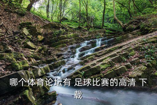 入門足球直播視頻下載,足球視頻下載網(wǎng)站