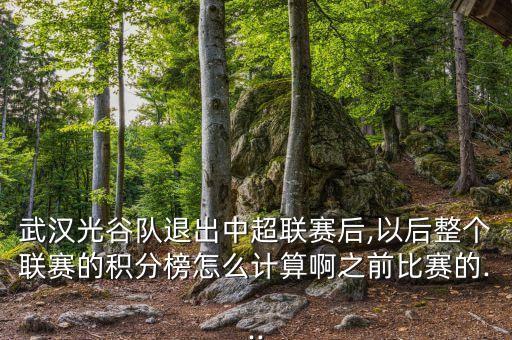 中國退賽的足球隊(duì),中國除了足球隊(duì)其他都去了
