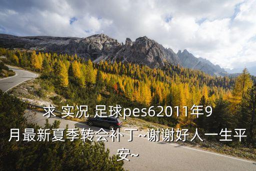 求 實(shí)況 足球pes62011年9月最新夏季轉(zhuǎn)會補(bǔ)丁~謝謝好人一生平安~