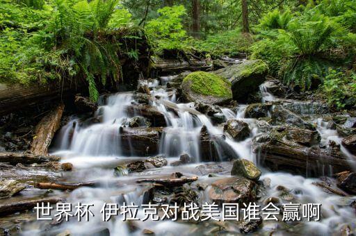 世界杯 伊拉克對戰(zhàn)美國誰會贏啊