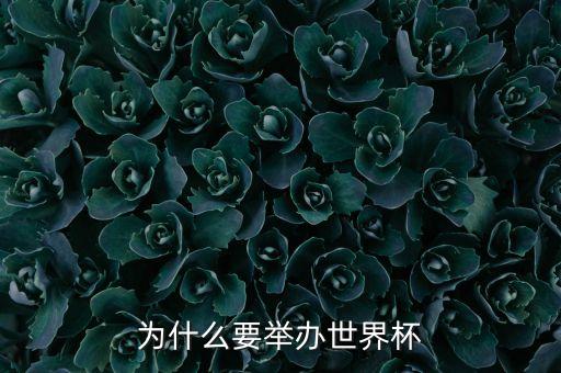 為什么要舉辦世界杯