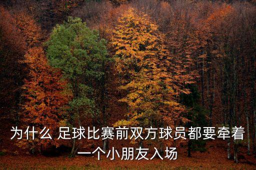 為什么 足球比賽前雙方球員都要牽著一個小朋友入場