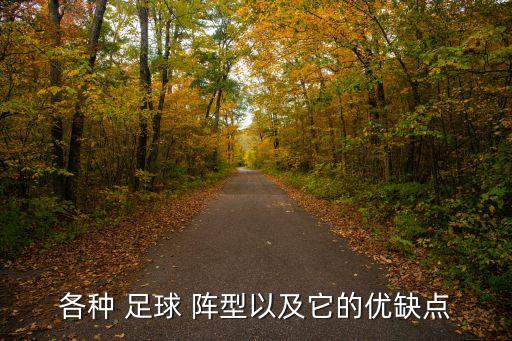 各種 足球 陣型以及它的優(yōu)缺點