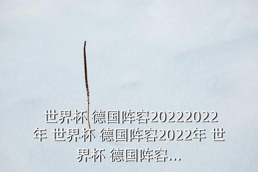  世界杯 德國陣容20222022年 世界杯 德國陣容2022年 世界杯 德國陣容...