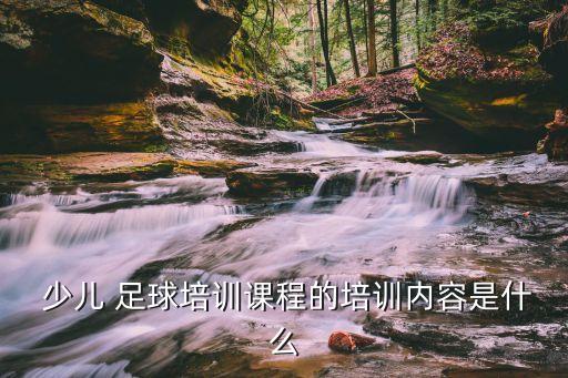  少兒 足球培訓(xùn)課程的培訓(xùn)內(nèi)容是什么