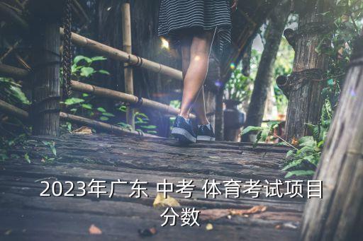 2023年廣東 中考 體育考試項(xiàng)目分?jǐn)?shù)