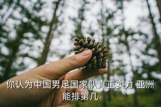 你認為中國男足國家隊真正實力 亞洲能排第幾